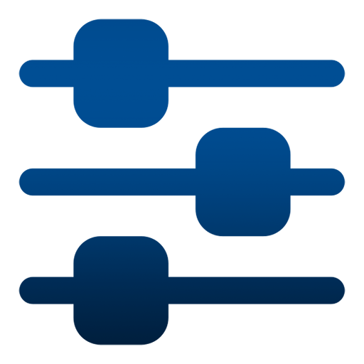 NetSuite Customization
